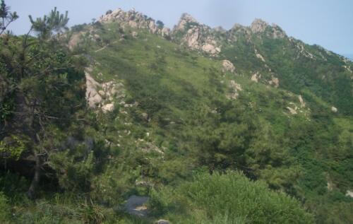 山西浮山縣林業(yè)防火預(yù)警監(jiān)控項(xiàng)目案例