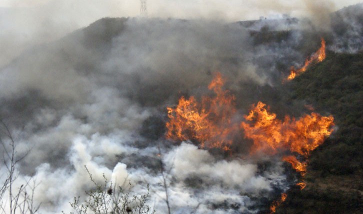 森林防火數(shù)字化監(jiān)控預(yù)警系統(tǒng)